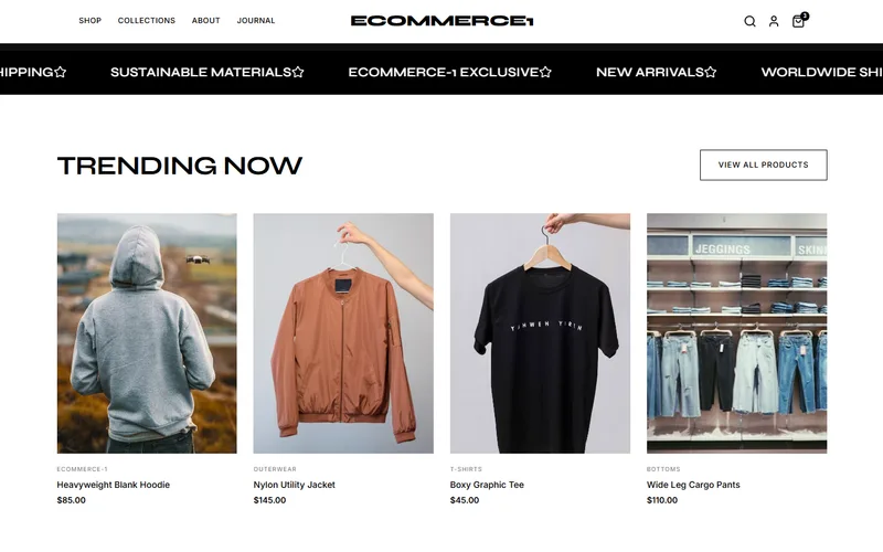 E-Commerce Websites